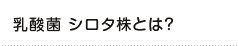 乳酸菌 シロタ株とは？