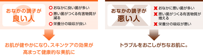 おなかの調子が良い人　おなかの調子が悪い人