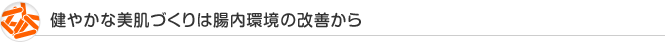 健やかな美肌づくりは腸内環境の改善から