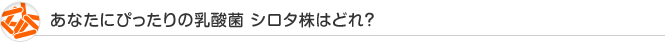 あなたにぴったりの乳酸菌 シロタ株はどれ？