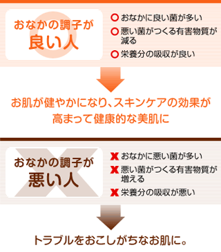 おなかの調子が良い人　おなかの調子が悪い人